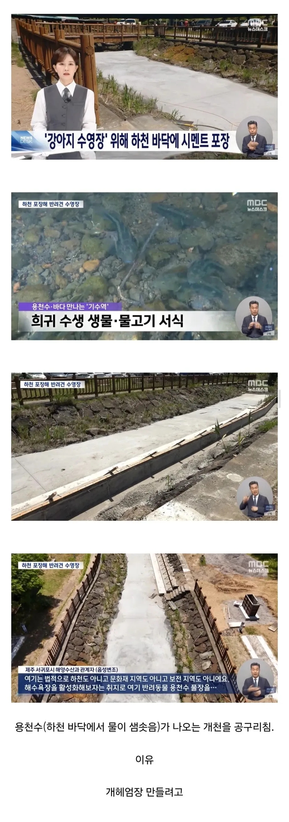 개헤엄장은_ㅅㅂ.jpg