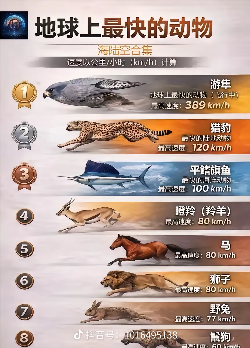 share_c19730f609ef9611de9684811ec5e53d.png