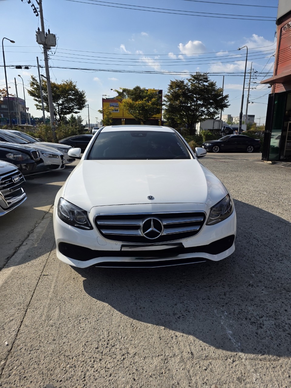 d2950a8b48bb1d23950939f3305815b5.jpg